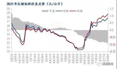 中国养猪网