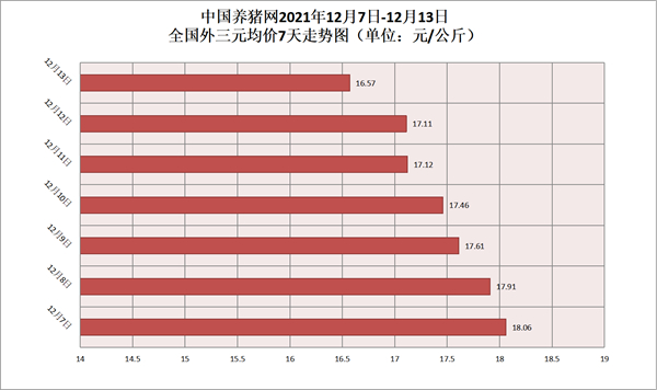 生猪价格连续8周反弹，展望后市猪周期拐点明年内将至！