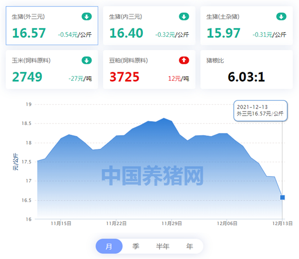 12月13日猪价：“雪崩式”下跌！何时到头？