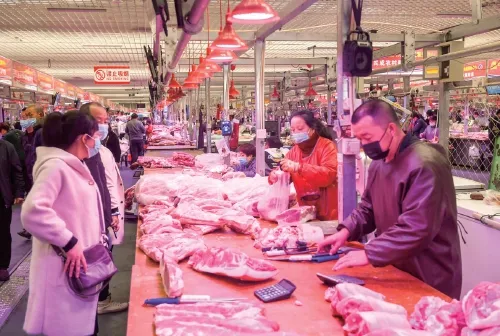生猪恢复提前完成，如何稳定市民的“肉盘子”，托住养殖户的“钱袋子”？