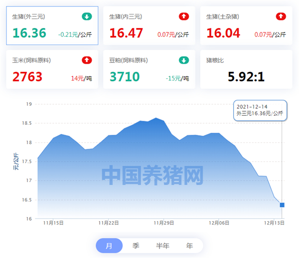 12月14日猪价：东北率先开涨！跌势到头了？