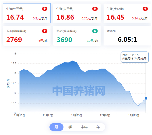 12月16日猪价：生猪价格全面反弹，后市如何？