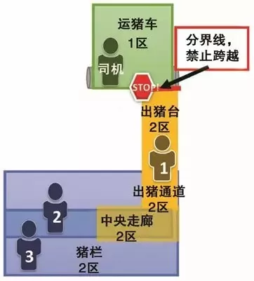 生猪运输生物安全：从一个种猪公司角度谈“可为”与“不可为”