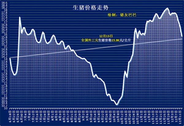 猪粮比跌破“6”，供销矛盾加剧，猪农咋办？
