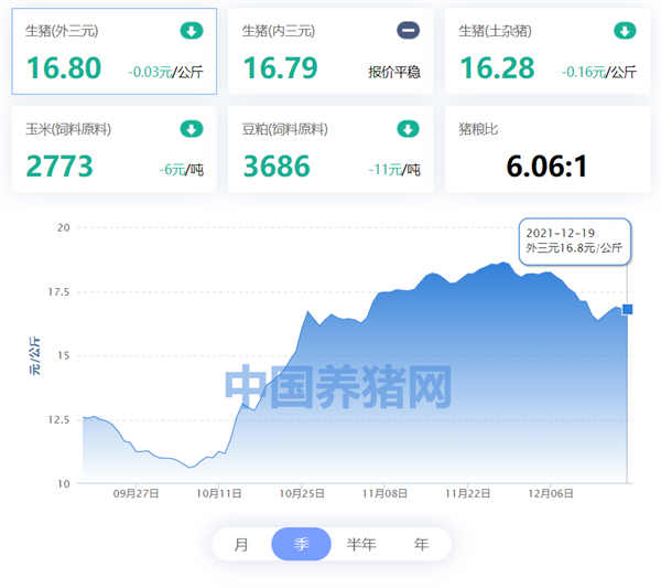 12月19日猪价：“双节”将至，猪肉价格降四成，还会再涨吗？