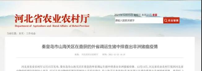 中国养猪网