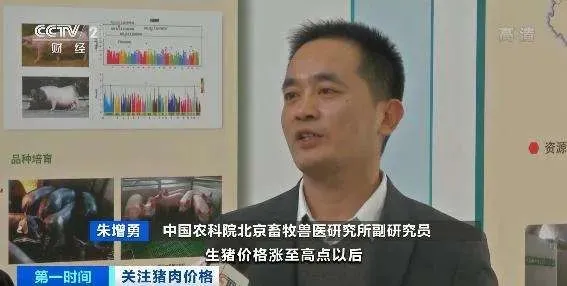 旺季不旺！养猪企业整体销量价升量减，未来猪价还会再涨吗？听专家这么说！