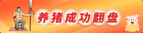 有实力却无猪可养？双胞胎“公司+农户”已向你抛出“橄榄枝”！