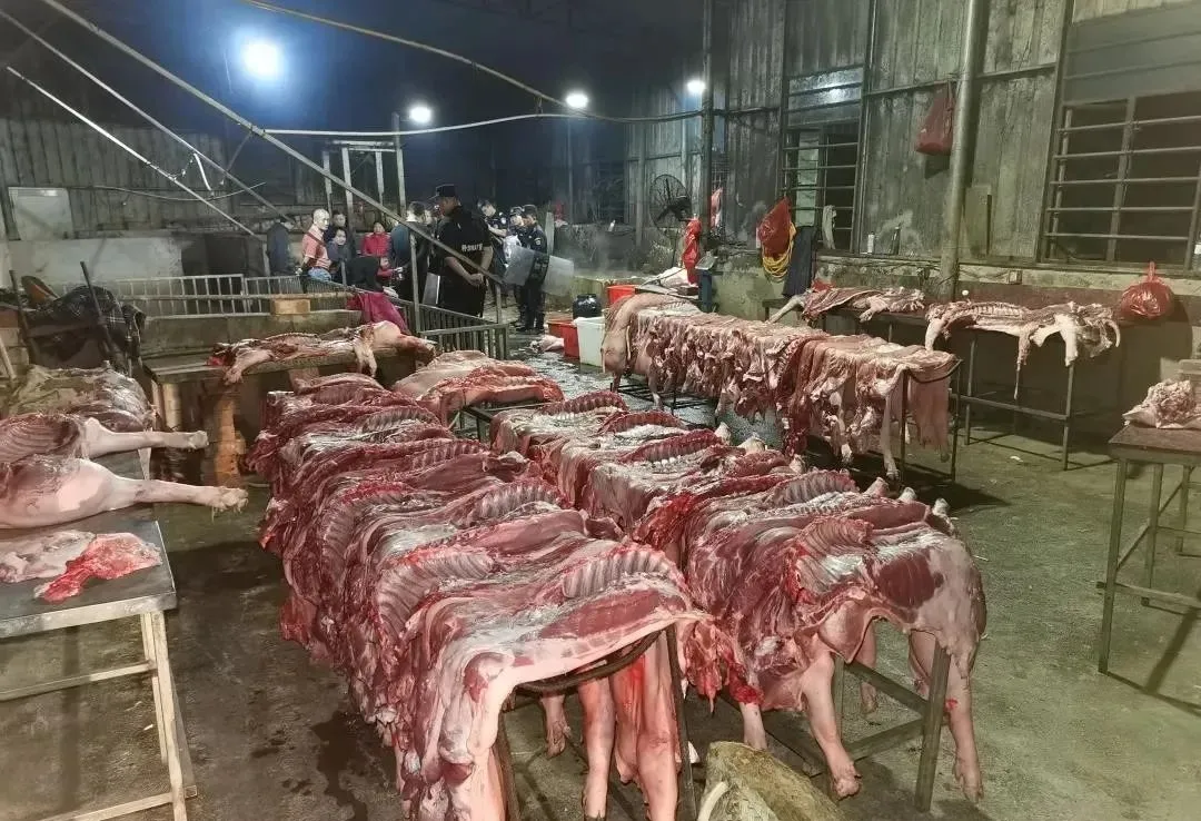 福建：高调无证杀猪卖肉，捣毁私设猪场，高额罚款652万元！
