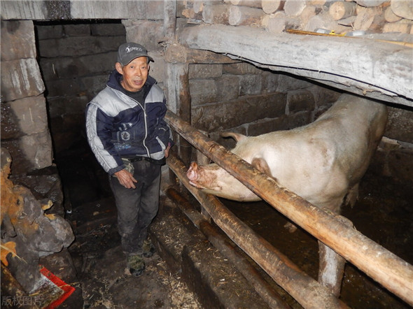 探索助困新模式！畜牧站“基层帮”的这种方式，您怎么看？