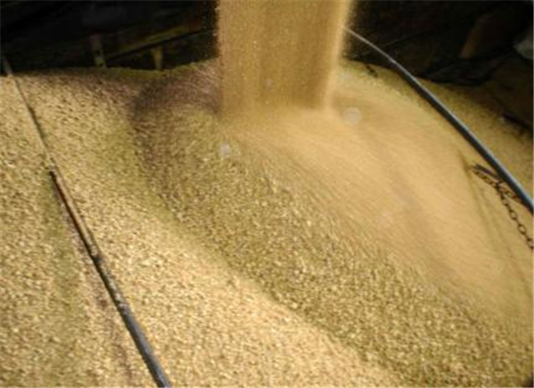 南美干旱持续发酵，豆粕价格涨逾七周以来新高