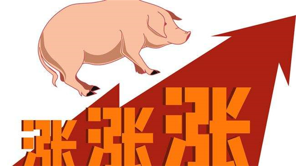 牛气冲天，全线飘红！猪价终于涨了！