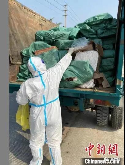 中国养猪网