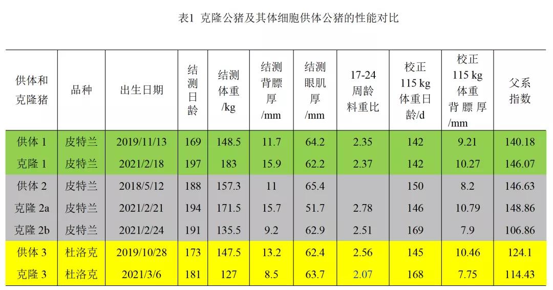 中国养猪网
