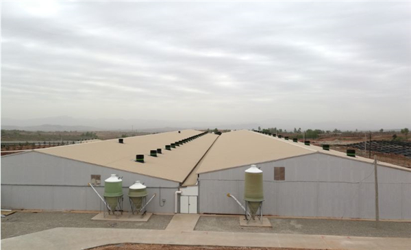 我国生猪产业生物安全探讨