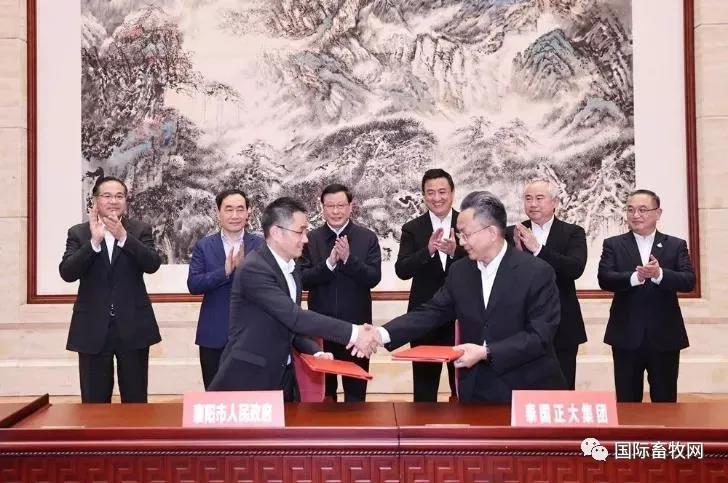 中国养猪网