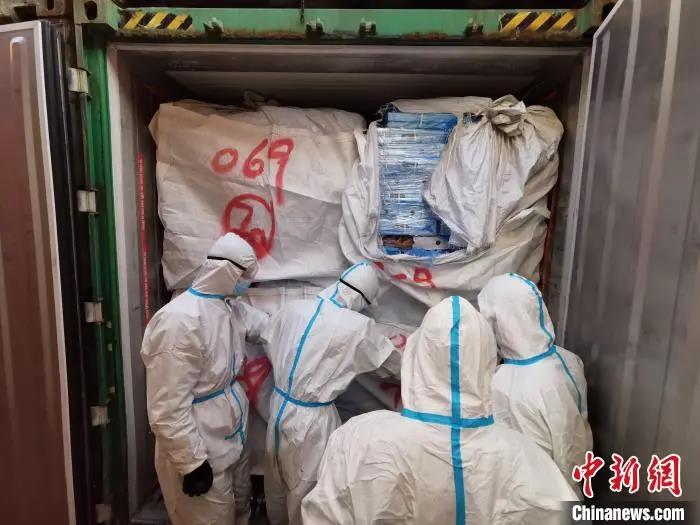 中国养猪网