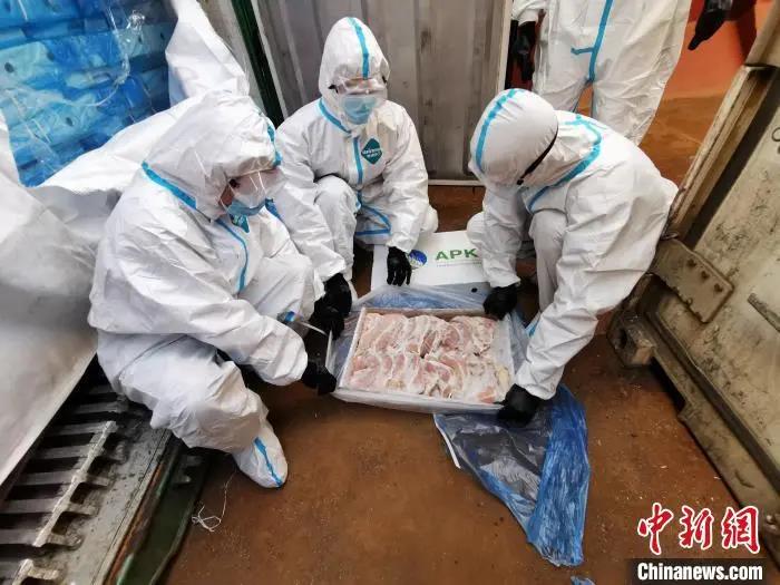 中国养猪网