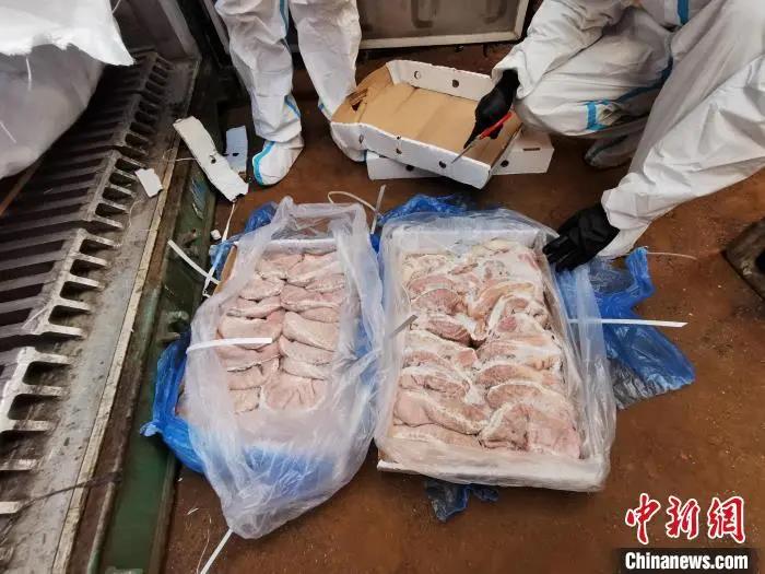 中国养猪网