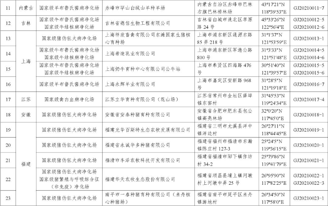 中国养猪网