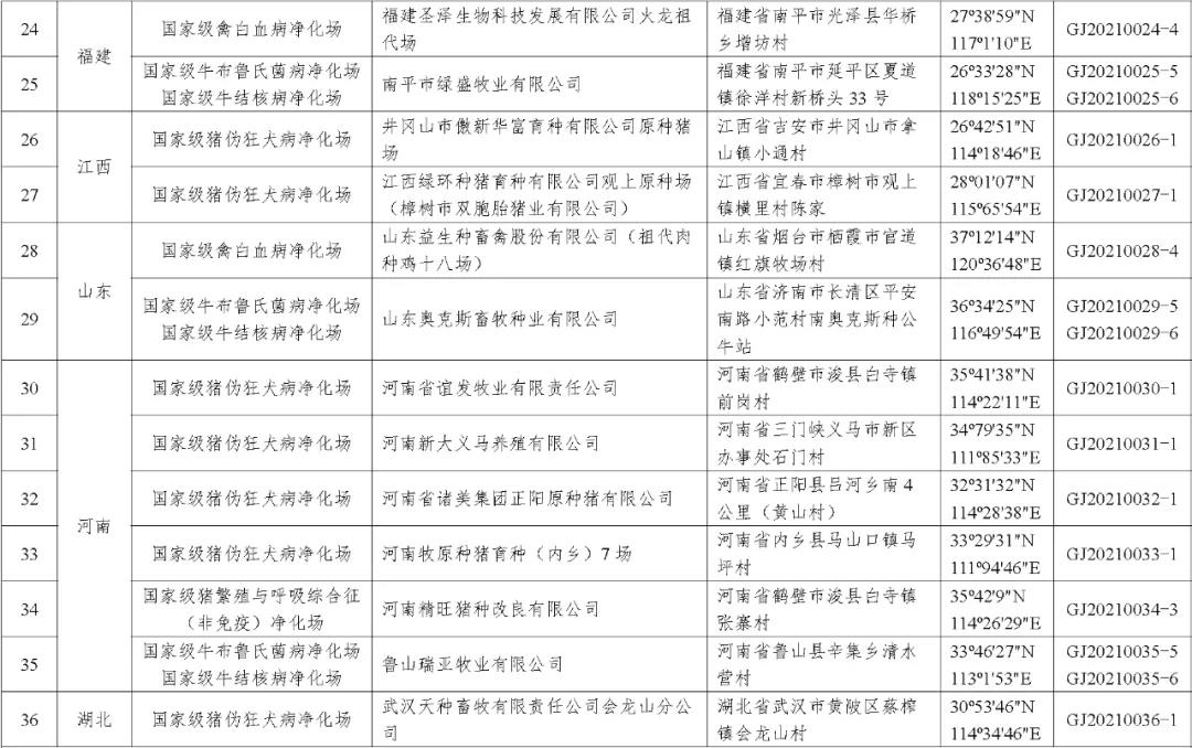中国养猪网