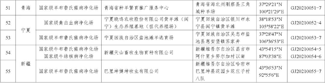中国养猪网