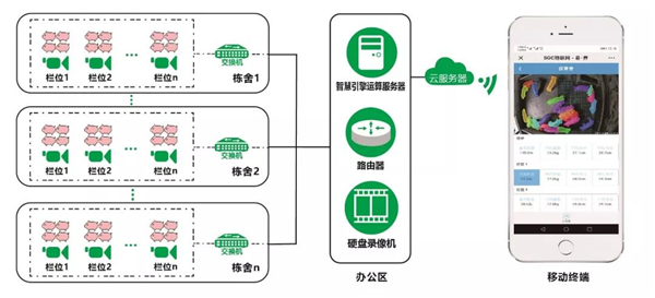 中国养猪网