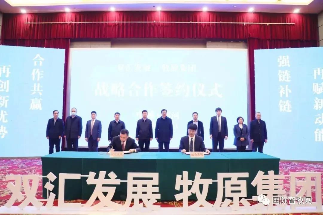 影响几何？牧原与双汇合作！背后又蕴含什么信号？