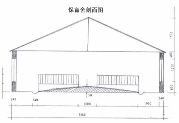 中国养猪网