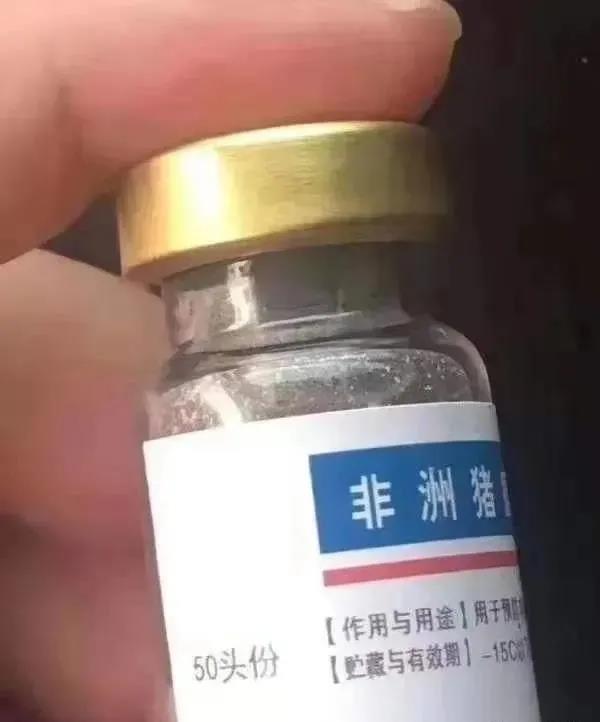 全国首例非洲猪瘟疫苗案：借上市公司业务员身份卖非瘟疫苗，造成2000多头生猪死亡