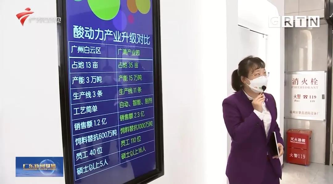 中国养猪网