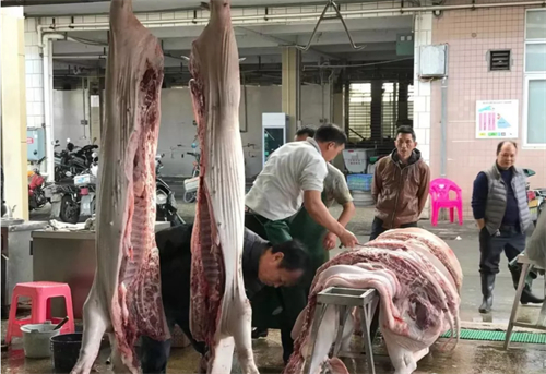 猪肉重回10元以下 最贵的肋排也不到20元 生猪价格持续下降连跌五周