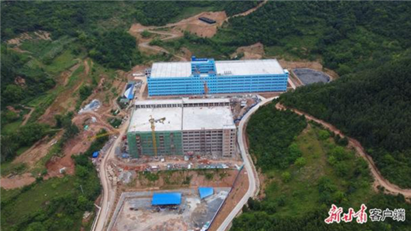 徽县种猪住进“电梯公寓”