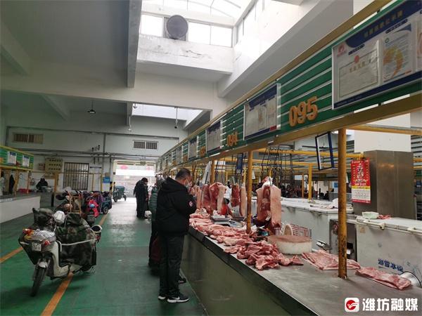 中国养猪网