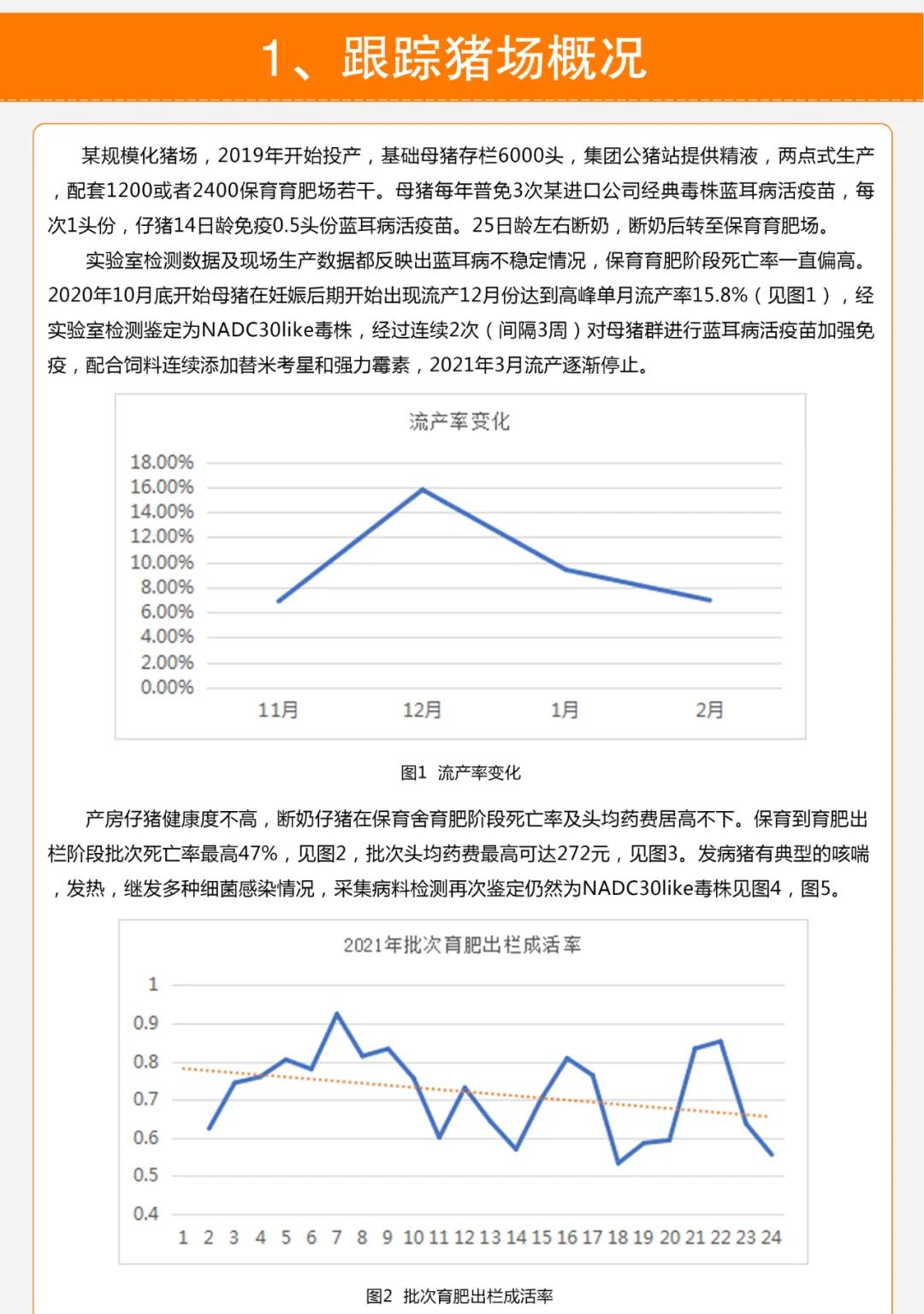 中国养猪网