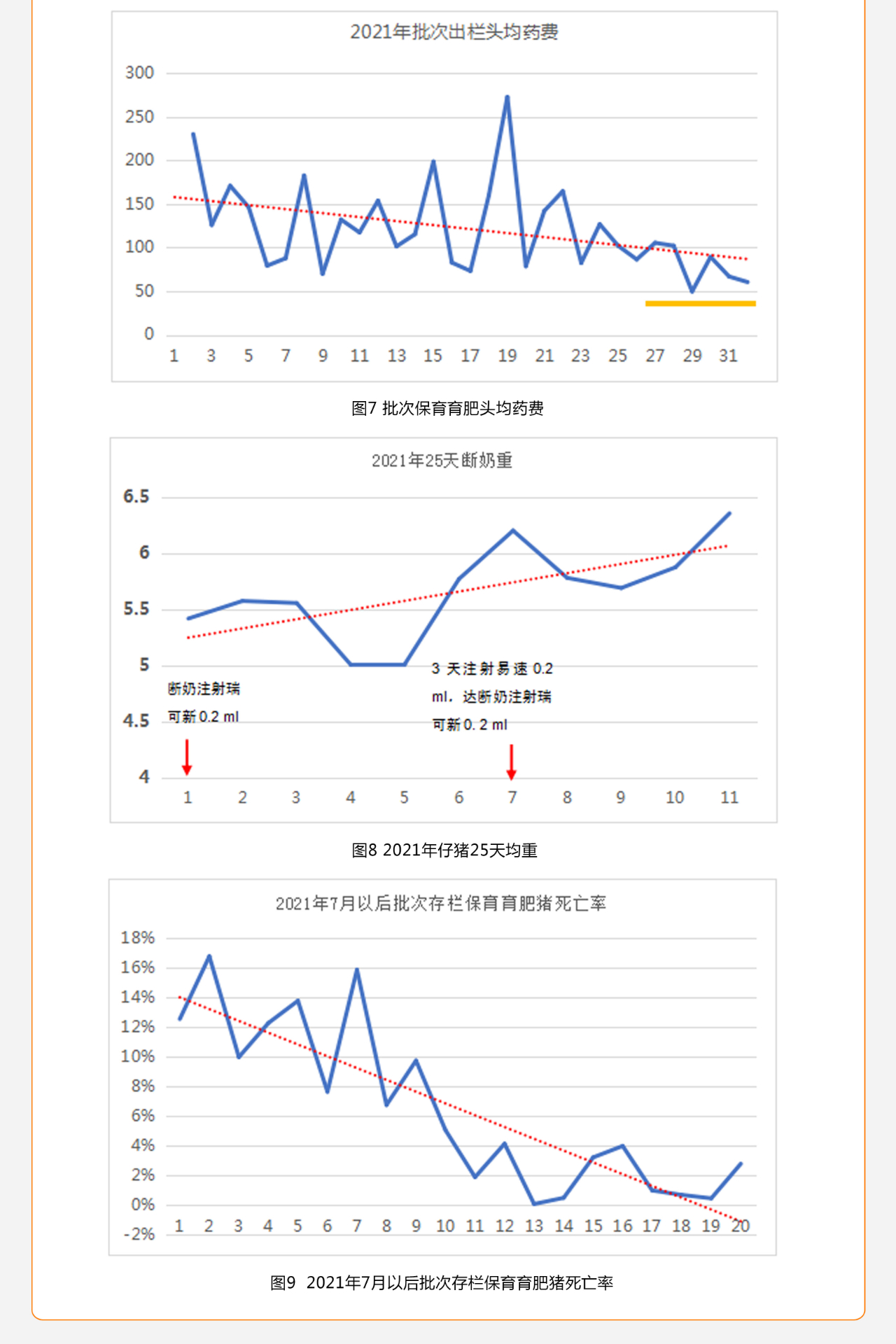 中国养猪网