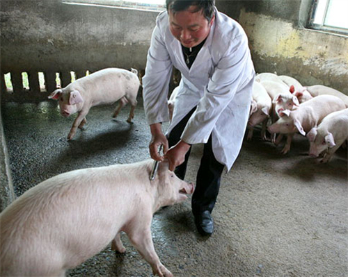 安徽一饲料企业进入IPO