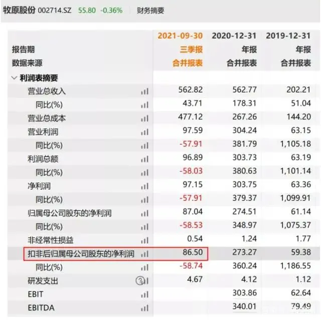 中国养猪网