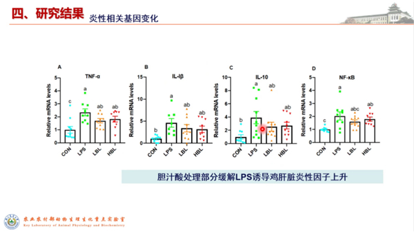 中国养猪网