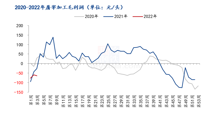 中国养猪网
