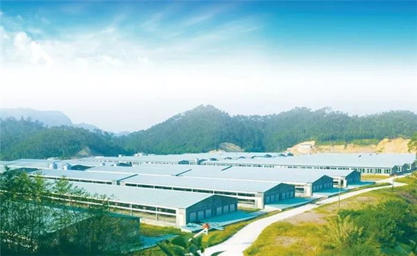 你想吸烟，还是想要工作？农牧上市企业让员工二选一