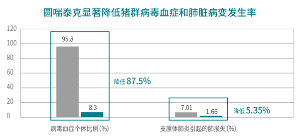 中国养猪网