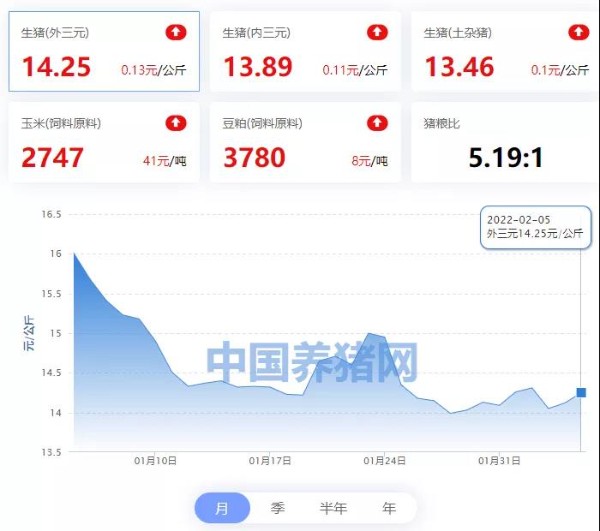 中国养猪网