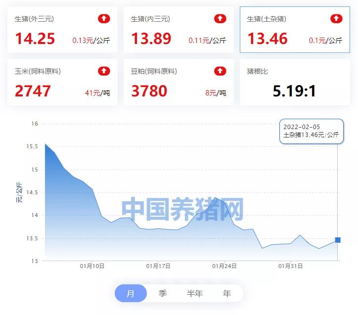 中国养猪网