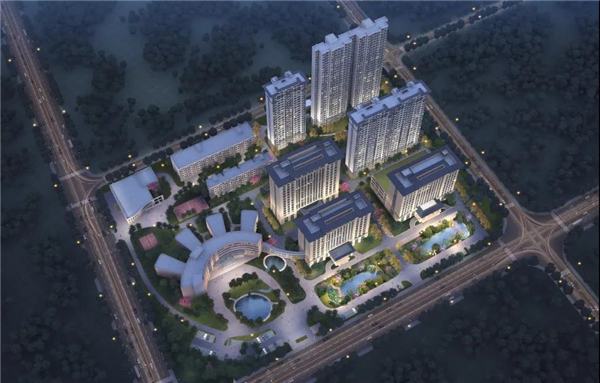 构建数字化转型研发体系，打造行业智能化养殖的标杆企业