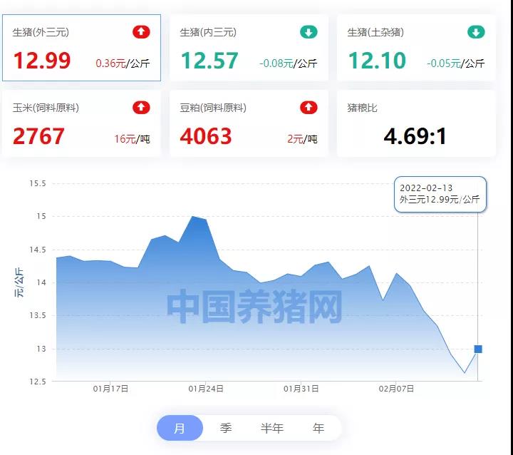 中国养猪网