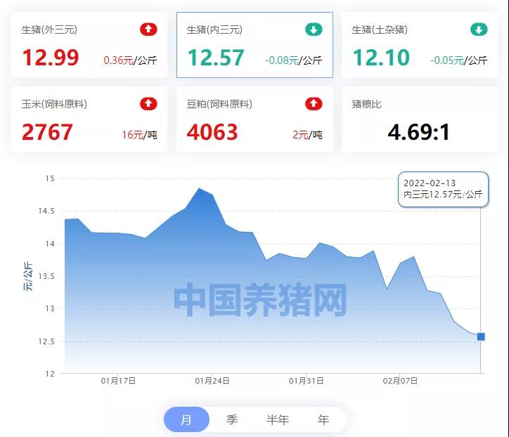 中国养猪网