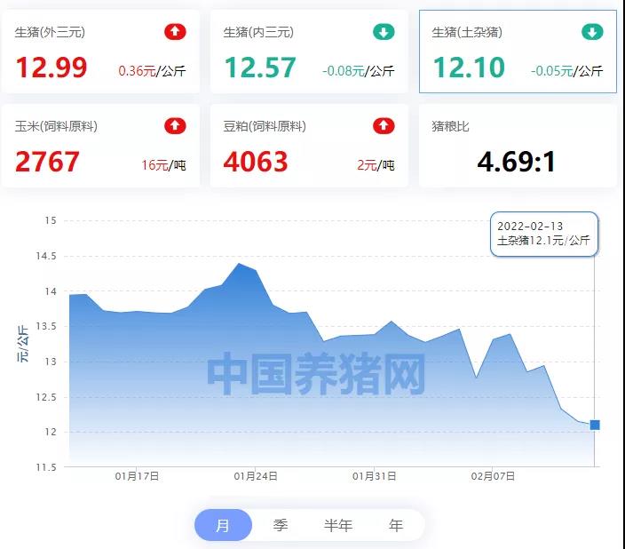 中国养猪网