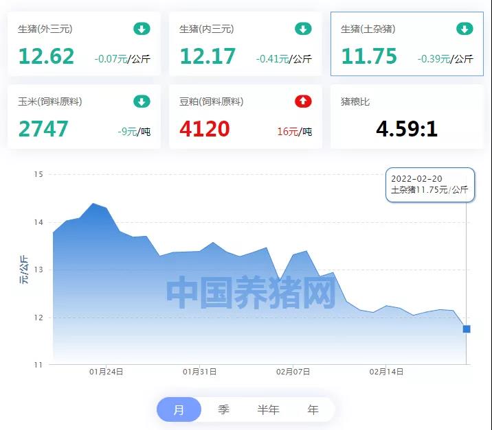 中国养猪网