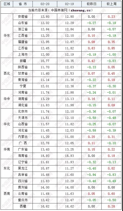 中国养猪网
